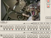 Kitty Beatbox